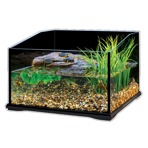 Brig browser vasteland Exo Terra Schildpadden Terrarium 45x45x30