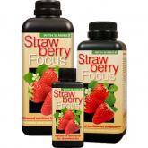 Strawberry Focus 100 ml