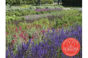 Meerjarig Bloemenmengsel (voor 10 m2)