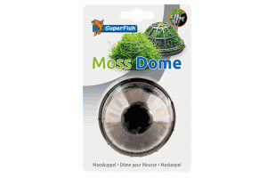 Moss Dome